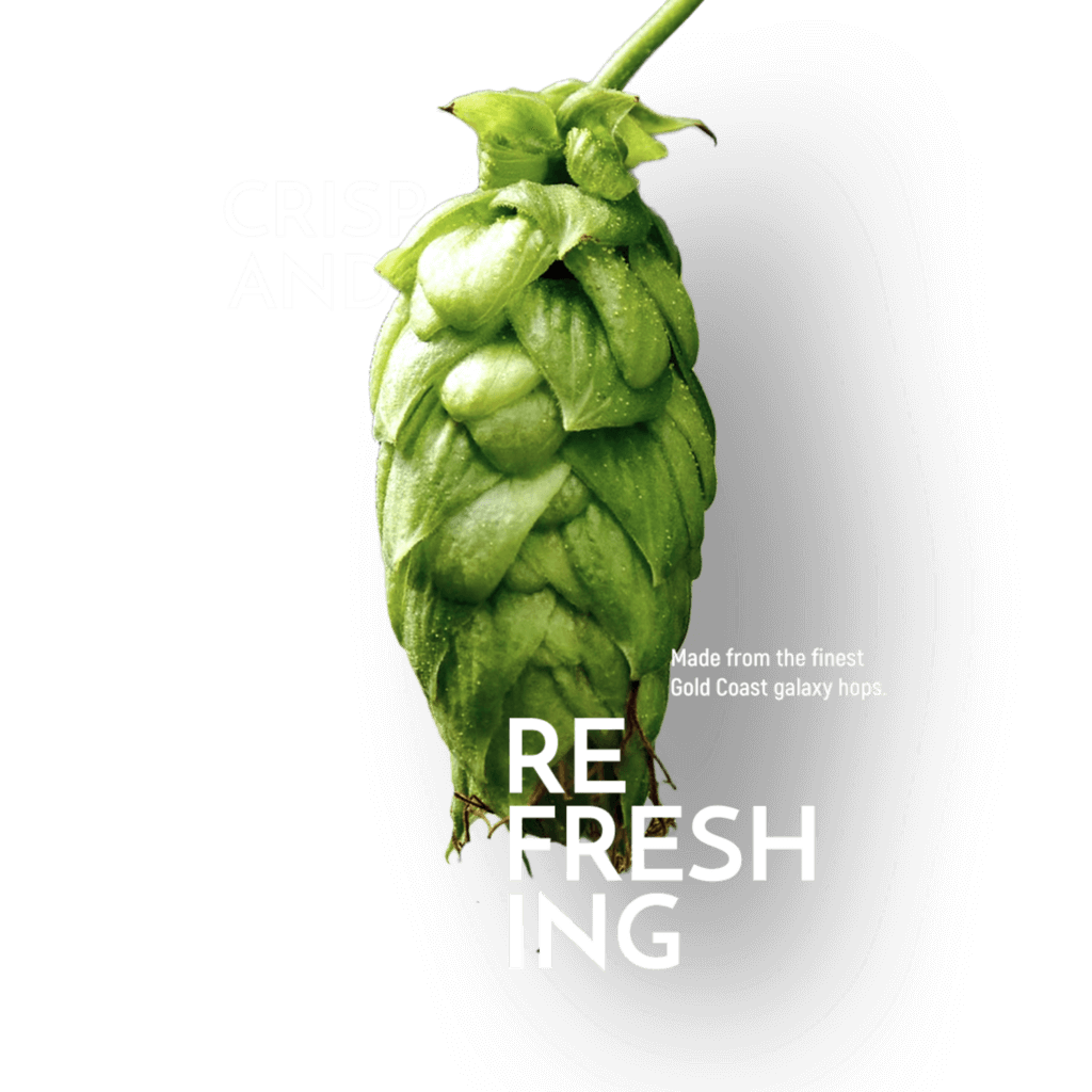 crisp-and-refreshing-beer